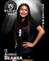 Soto_VB_9th_Ind2-05