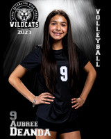 Soto_VB_9th_Ind2-19
