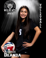 Soto_VB_9th_Ind2-47