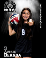 Soto_VB_9th_Ind2-61