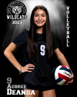 Soto_VB_9th_Ind2-33