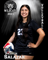 Soto_VB_9th_Ind2-37