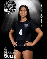 Soto_VB_JV_Ind2-01