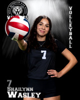 Soto_VB_JV_Ind2-70