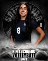 Soto_VB_JV_Ind1-03