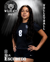 Soto_VB_JV_Ind2-03