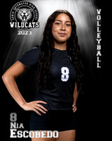 Soto_VB_JV_Ind2-20