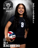 Soto_VB_JV_Ind2-37