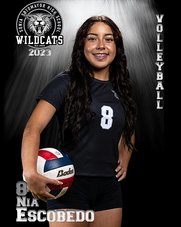 Soto_VB_JV_Ind2-37
