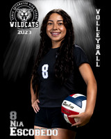 Soto_VB_JV_Ind2-54