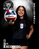 Soto_VB_JV_Ind2-71