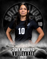 Soto_VB_JV_Ind1-04