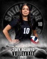 Soto_VB_JV_Ind1-38