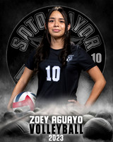 Soto_VB_JV_Ind1-55