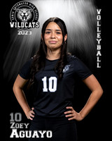 Soto_VB_JV_Ind2-04