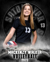 Soto_VB_JV_Ind1-40
