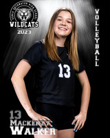 Soto_VB_JV_Ind2-23