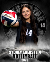 Soto_VB_JV_Ind1-75