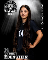 Soto_VB_JV_Ind2-24