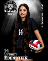 Soto_VB_JV_Ind2-58
