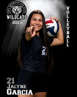 Soto_VB_JV_Ind2-81