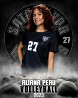 Soto_VB_JV_Ind1-15