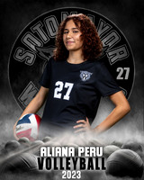 Soto_VB_JV_Ind1-66