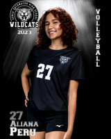 Soto_VB_JV_Ind2-15