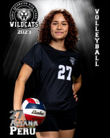 Soto_VB_JV_Ind2-49