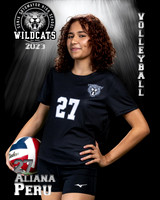 Soto_VB_JV_Ind2-66