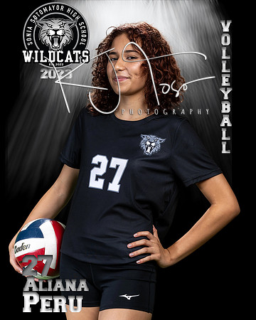 Soto_VB_JV_Ind2-66