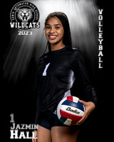 Soto_VB_Var_Ind2-33