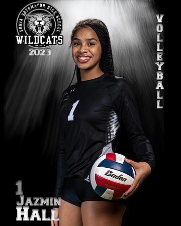 Soto_VB_Var_Ind2-33