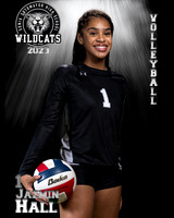Soto_VB_Var_Ind2-49