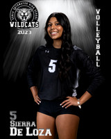 Soto_VB_Var_Ind2-05