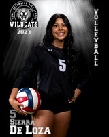 Soto_VB_Var_Ind2-53