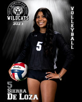 Soto_VB_Var_Ind2-37