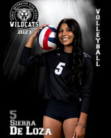 Soto_VB_Var_Ind2-69