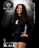 Soto_VB_Var_Ind2-06