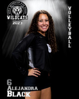 Soto_VB_Var_Ind2-22
