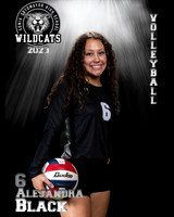 Soto_VB_Var_Ind2-54