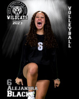 Soto_VB_Var_Ind2-70