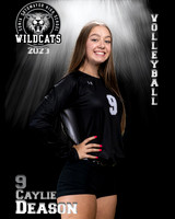 Soto_VB_Var_Ind2-25