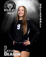Soto_VB_Var_Ind2-09