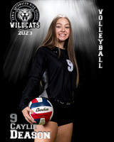Soto_VB_Var_Ind2-57