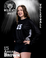 Soto_VB_Var_Ind2-14