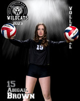 Soto_VB_Var_Ind2-78