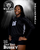 Soto_VB_Var_Ind2-15
