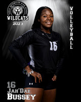 Soto_VB_Var_Ind2-31