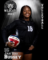 Soto_VB_Var_Ind2-63